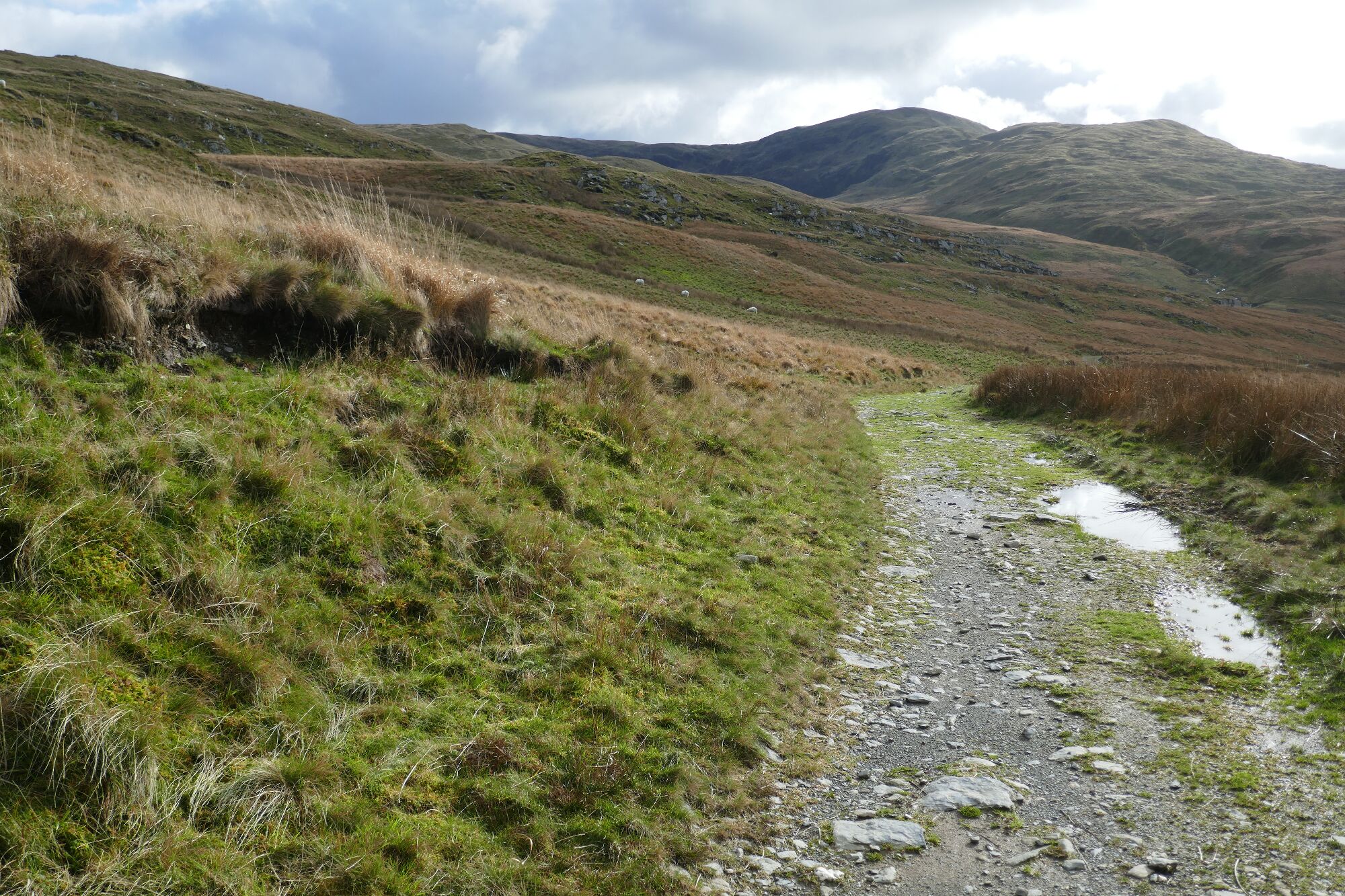 RachelSeabrook.net | Wild Walking | Cwm Hengwm | pic33